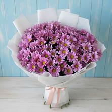 Букет цветов из:  Хризантемы #REPLACE_PRED# Смоленке