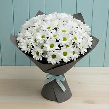 Букет цветов из:  Хризантемы #REPLACE_PRED# Смоленке
