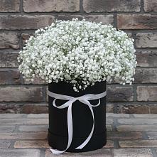 Цветочная композиция из Гипсофила в шляпной коробке в Смоленке