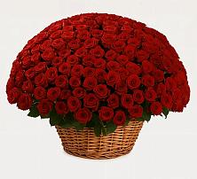 Премиум букет из: Розы в Смоленке